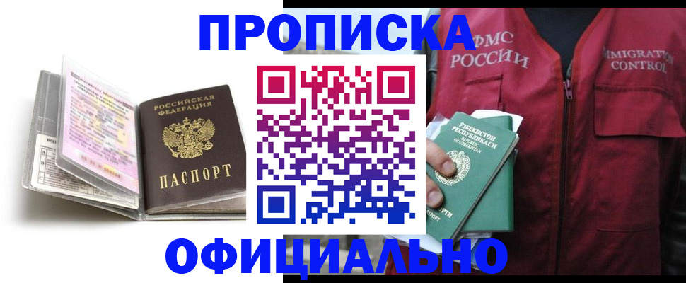 прописка 2025 в Сольцах