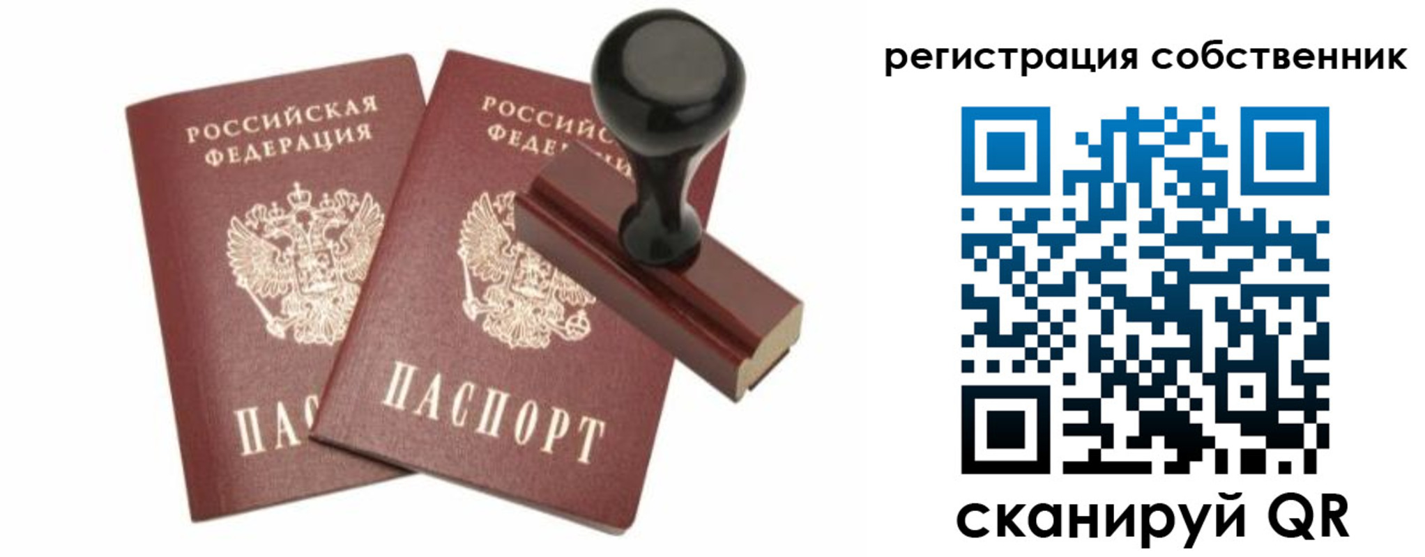 прописка паспорт в Сольцах